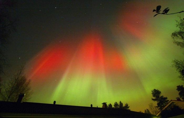 Nordlichter heute Abend in Belgien möglich: Was können Sie erwarten?