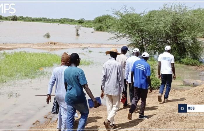 SENEGAL-WIRTSCHAFT-LANDWIRTSCHAFT / Matam: SAED kündigt einen Resilienzplan für Landwirte an, die von der Überschwemmung des Senegal-Flusses betroffen sind – senegalesische Presseagentur