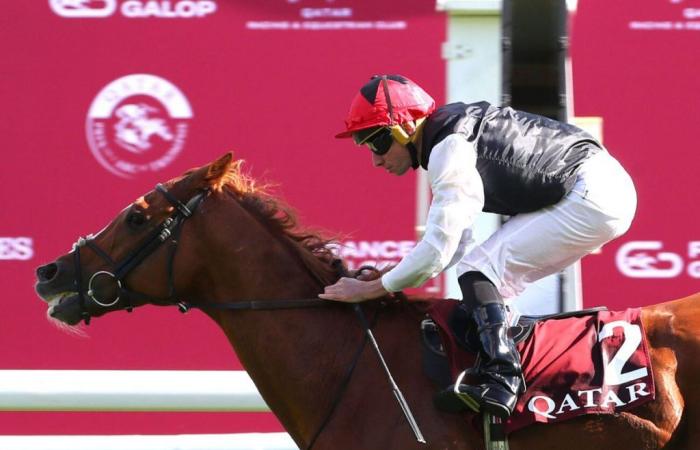 Qatar Prix du Cadran 2024 in ParisLongchamp: Kyprios, eine Maschine