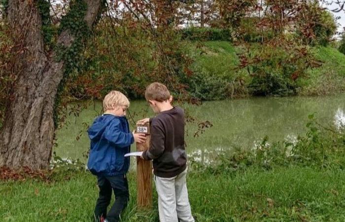 Ein Tag voller Orientierungslauf und Aktivitäten rund um den Gauge-See in Condom