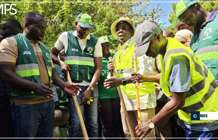 SENEGAL-UMWELT-BILDUNG / Thiès: Die Highschool El Hadji Malick Sy veranstaltet einen Reinigungstag – senegalesische Presseagentur