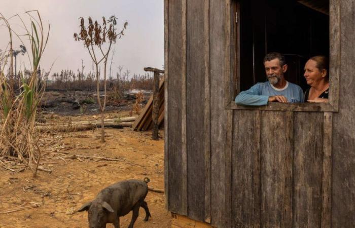 Im „feurigen Chaos“ des brasilianischen Amazonas