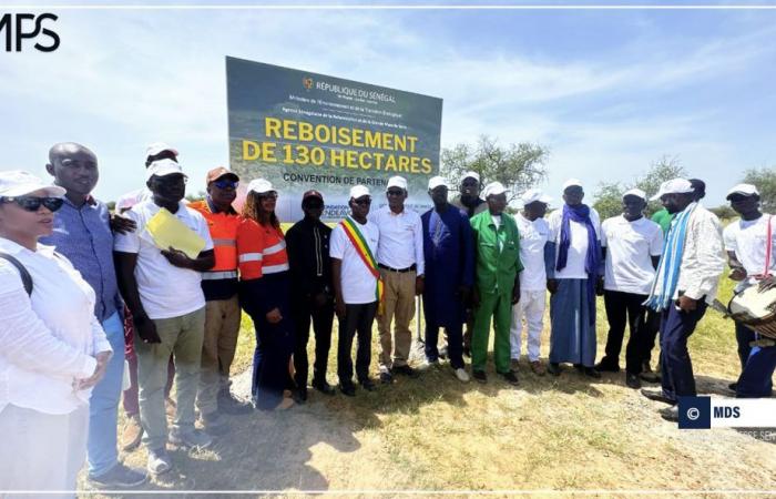 SENEGAL-UMWELT / Bakel: Ein 260 ha großes Waldreservat in Ballou eingeweiht – senegalesische Presseagentur