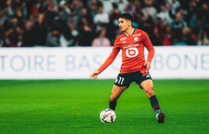 Ligue 1 – D7: Die Notizen der Dogues nach LOSC – Toulouse FC