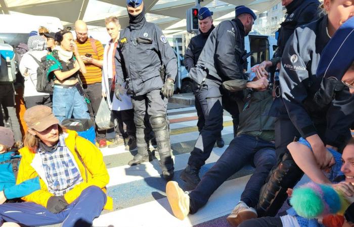 Brüssel: Greta Thunberg und andere Klimademonstranten von der Polizei abgeführt (Fotos)