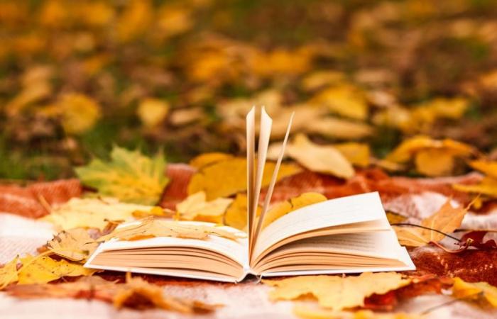 Bücher, die Must-haves für den Monat Oktober – DECIDEURS MAGAZINE