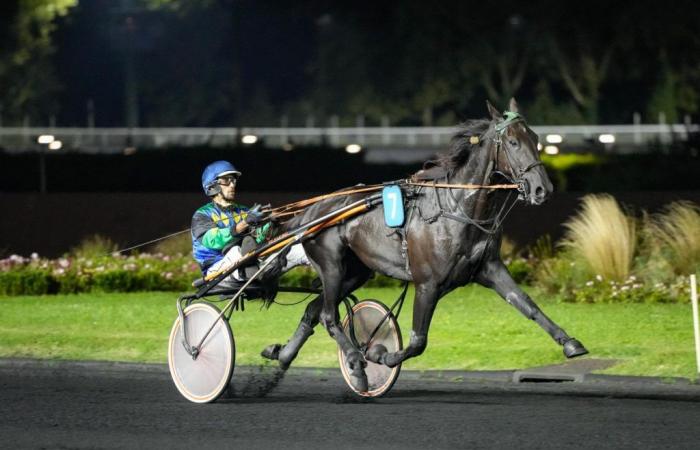 Helecho-Favorit des Quintés vom 7. Oktober 2024 in Enghien mit Eric Raffin