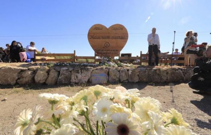 In Mazan marschieren Gewaltopfer zur Unterstützung von Gisèle Pélicot (Fotos und Videos)