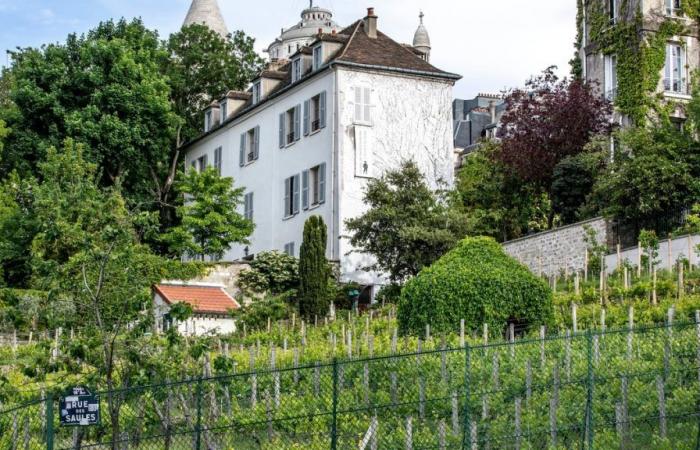 4 Gründe, das Montmartre Harvest Festival nicht zu verpassen