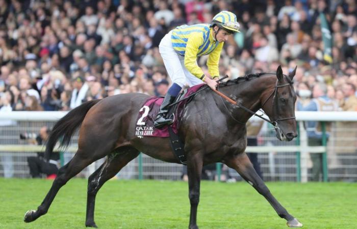 Das traurige Ende von Haya Zark beim Prix de l’Arc de Triomphe 2024