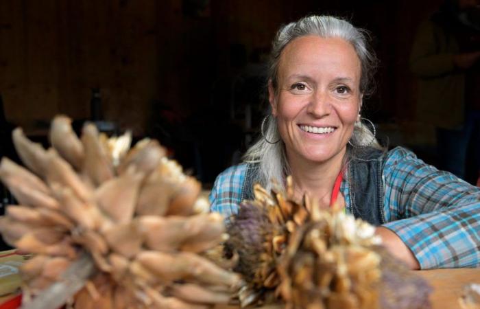 Gartenarbeit: Ernten Sie Ihre eigenen Samen für das nächste Jahr