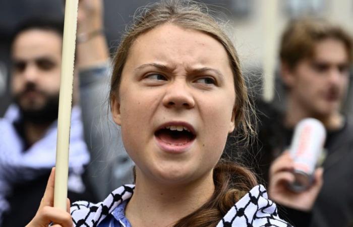 Greta Thunberg bei Demonstration in Brüssel festgenommen