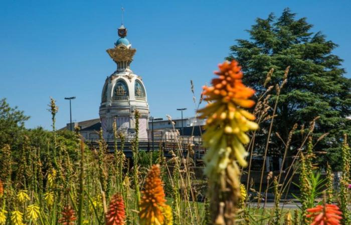 Nantes wurde zur besten französischen Gemeinde für Artenvielfalt 2024 gewählt!