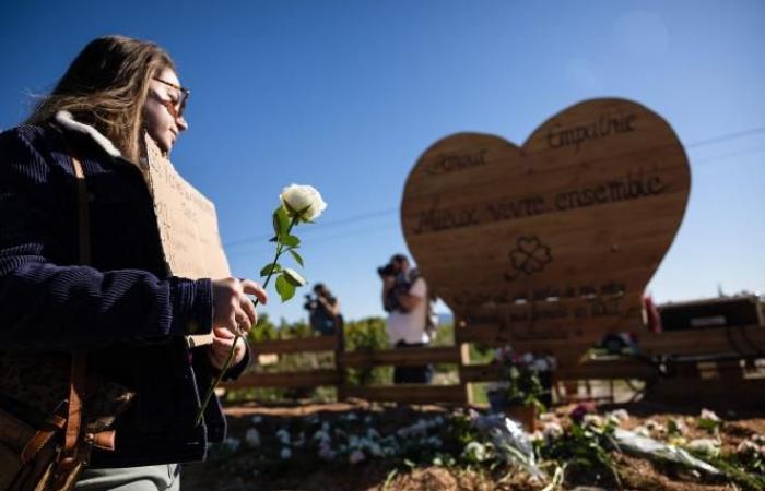 In Mazan marschieren Gewaltopfer zur Unterstützung von Gisèle Pélicot (Fotos und Videos)