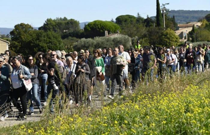 In Mazan marschieren Gewaltopfer zur Unterstützung von Gisèle Pélicot (Fotos und Videos)