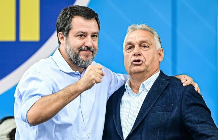 Salvini und Orban greifen Brüssel an und werden als „ökoterroristisch“ und „bürokratisch“ bezeichnet