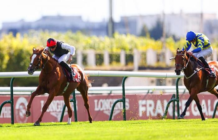 Longchamp (Gr.1): Kyprios Puissance 8