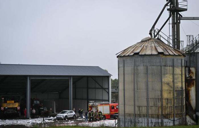 70 Tonnen gelagerte Sonnenblumen verbrennen in einem Silo in Pouilly-sur-Loire