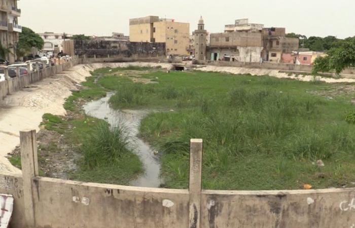 Regenwasser: Im Senegal werden Rückhaltebecken zum Hort von Infektionskrankheiten