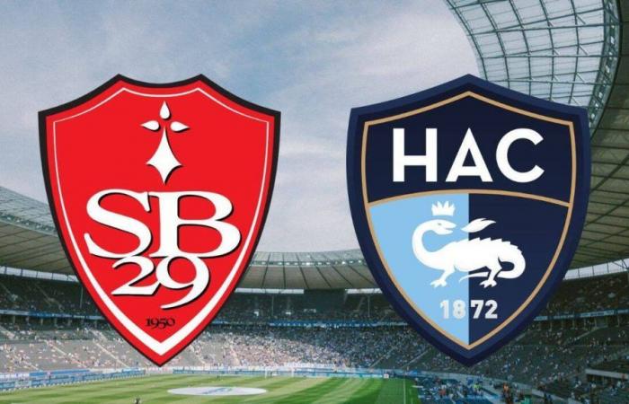 Le Havre: Auf welchem ​​Kanal und zu welcher Uhrzeit kann man das Spiel der Ligue 1 live verfolgen?