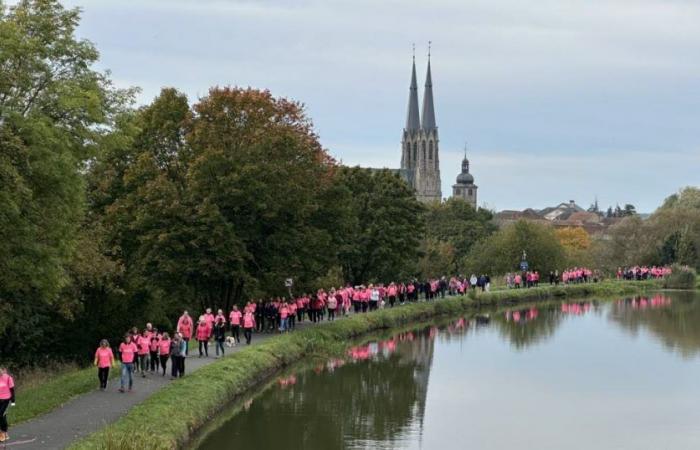 Mosel-Ost. Sarralbe, eine rosa Stadt gegen Krebs