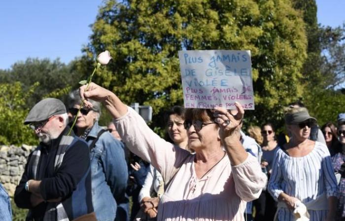 In Mazan marschieren Gewaltopfer zur Unterstützung von Gisèle Pélicot (Fotos und Videos)