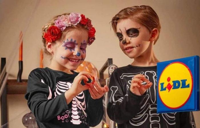 Lidl wird mit seinen Halloween-Kostümen für unter 10 Euro ein Volltreffer – Tuxboard