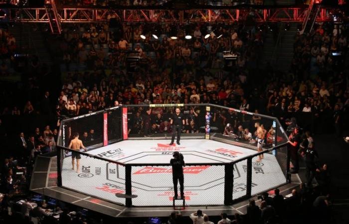 So sehen Sie UFC 307 live – Forbes Advisor INDIEN