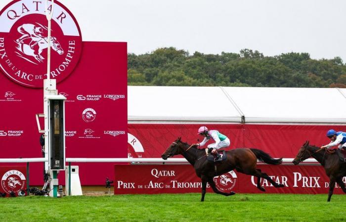 Reiten: Es sollte sein letztes Rennen sein … Dieses 5-jährige Pferd starb auf tragische Weise an einem „körperlichen Problem“ bei voller Anstrengung