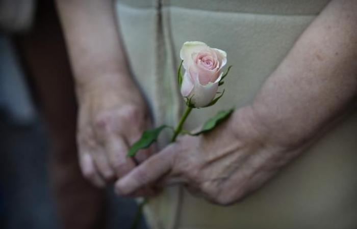 In Mazan marschieren Gewaltopfer zur Unterstützung von Gisèle Pélicot (Fotos und Videos)