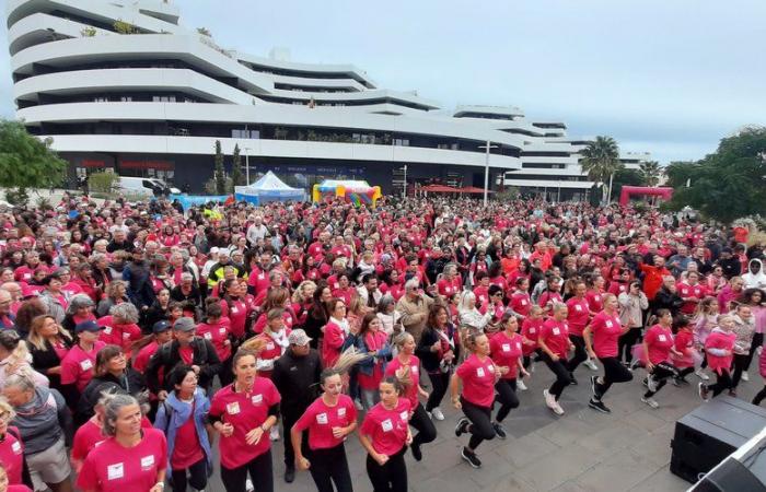 Rosa Oktober: Rekordbeteiligung beim Lauf gegen den Krebs