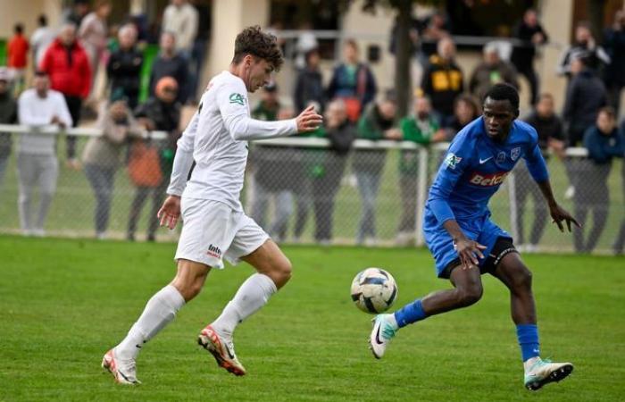 Frauen D3, R1, R2: Verfolgen Sie die Spiele dieses Sonntags live in der Auvergne und im Limousin