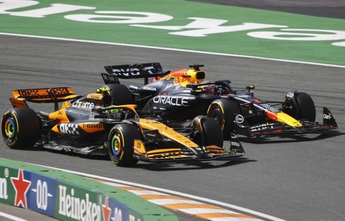 Formel 1 | Hill: Norris hat „die Qualitäten“ eines Weltmeisters