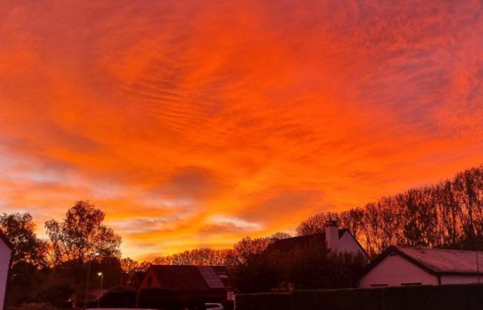 Hier sind Ihre besten Fotos vom Himmel heute Morgen, aber sind es die Nordlichter?