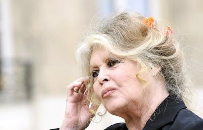 Brigitte Bardot die Rebellische | Das Montreal Journal