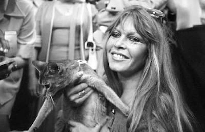 Brigitte Bardot die Rebellische | Das Montreal Journal