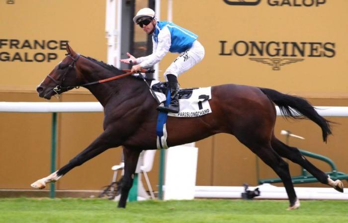 Reiten. Sosie wurde in Chantilly ausgebildet und kann diesen Sonntag, den 6. Oktober, in Longchamp den legendären Prix de l’Arc de Triomphe gewinnen