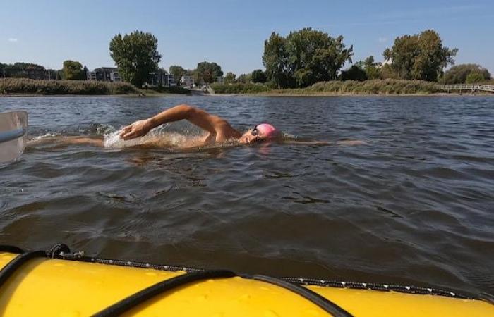 Schwimmen Sie 30 Meilen unter den Brücken auf Manhattan Island