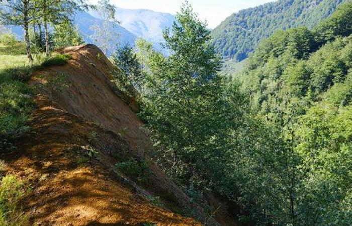 Eine zukünftige Wolframmine in Ariège?