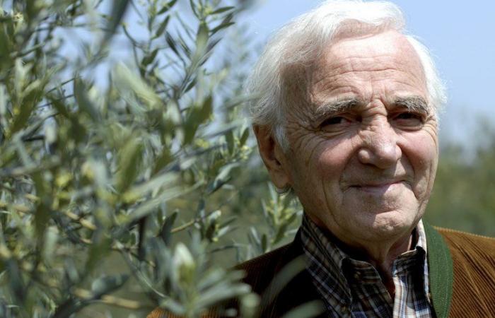 GESCHICHTE-WOCHENENDE. Das andere Leben von Charles Aznavour in den Alpilles