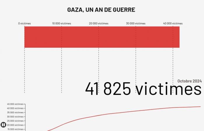 „Was ich in Gaza gesehen habe, ist unfassbar“: Aurélie Godard, eine Ärztin in der Hölle von Gaza