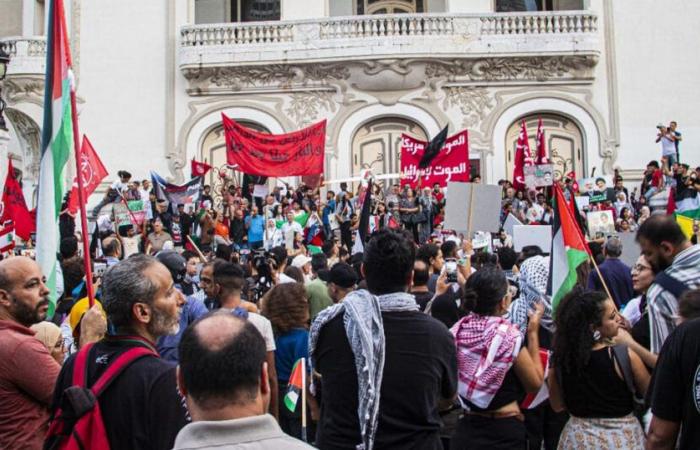 Tunis: Marsch zur Unterstützung Palästinas und des Libanon (Fotos)