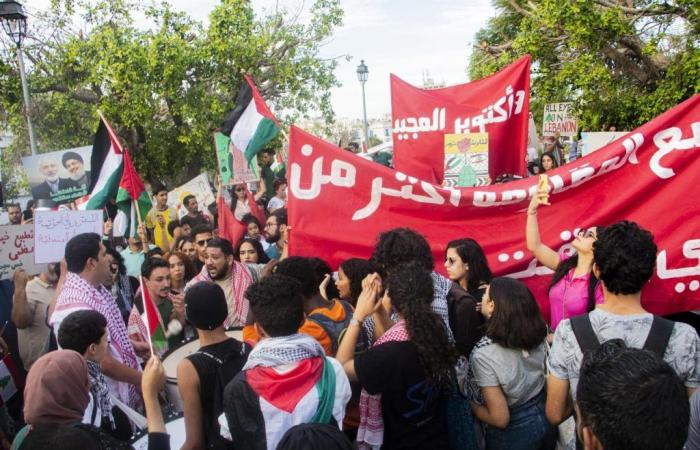 Tunis: Marsch zur Unterstützung Palästinas und des Libanon (Fotos)