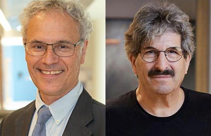 Den Nobelpreis für Medizin erhielten die Amerikaner Victor Ambros und Gary Ruvkun