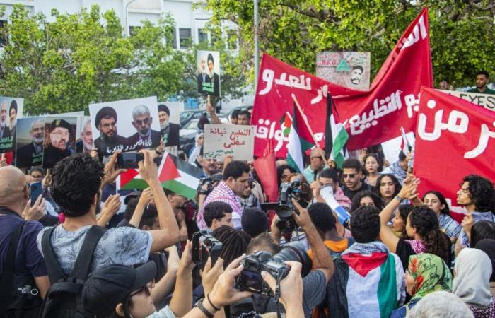 Tunis: Marsch zur Unterstützung Palästinas und des Libanon (Fotos)