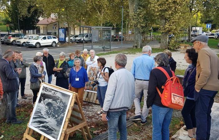 Cahors. Fest’images macht die Stadt zum Schauplatz seiner Ausstellung