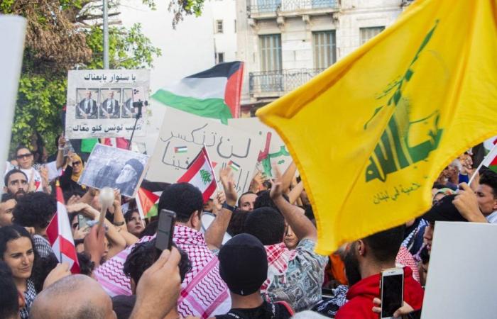 Tunis: Marsch zur Unterstützung Palästinas und des Libanon (Fotos)