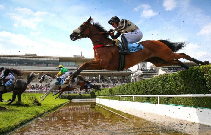 Rosario Baron kehrt am Dienstag in Auteuil zum Hürdenlauf zurück