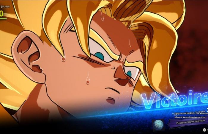 Test: Dragon Ball Sparking! NULL – Der würdige Erbe