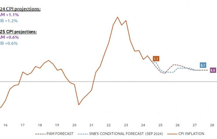 Starker Franken und tiefe Inflation: Was wäre, wenn die SNB im Jahr 2025 Negativzinsen einführen würde?